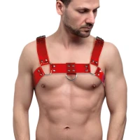 Чоловіча портупея на груди Feral Feelings - Bulldog Harness Red Trasparent — Просмотреть изображение 1