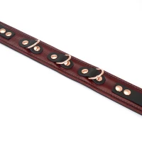 Шкіряний нашийник з повідцем Liebe Seele Wine Red Collar and Leash, 3 кільця для кріплення — Переглянути зображення 14