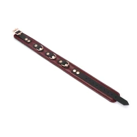 Шкіряний нашийник з повідцем Liebe Seele Wine Red Collar and Leash, 3 кільця для кріплення — Переглянути зображення 16