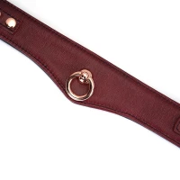 Шкіряний нашийник з повідцем Liebe Seele Wine Red Curved Collar, замок-сердечко — Переглянути зображення 14