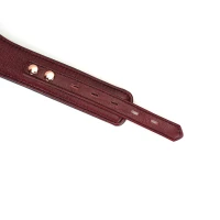 Шкіряний нашийник з повідцем Liebe Seele Wine Red Curved Collar, замок-сердечко — Переглянути зображення 12