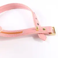 Нашийник з повідцем LOCKINK SEVANDA Love Heart Butterfly Leather Collar Set, рожевий, з бантом — Переглянути зображення 4
