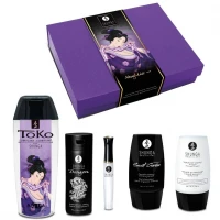 Подарунковий набір Shunga Naughtier Kit, 5 продуктів для інтимної стимуляції — Переглянути зображення 1
