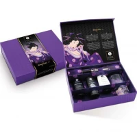 Подарунковий набір Shunga Naughtier Kit, 5 продуктів для інтимної стимуляції — Переглянути зображення 8