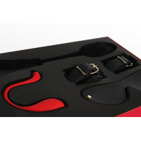 Преміальний подарунковий набір для неї Svakom Limited Gift Box з інтерактивною іграшкою — Просмотреть изображение 3