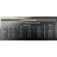 Бодістокінг з контрастним візерунком Penthouse - Under Arrest Black XL — Переглянути зображення 4