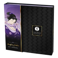 Подарунковий набір Shunga NAUGHTY GEISHA: невичерпне джерело збудження — Переглянути зображення 8