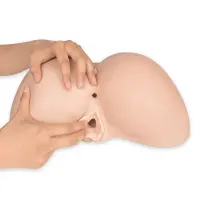 Мастурбатор-попка з двома входами SilexD Daphne Ass Masturbator, суперреалістичний, термореактивний — Просмотреть изображение 2