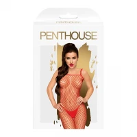Бодістокінг у велику сітку Penthouse - Body Search Red XL — Переглянути зображення 3