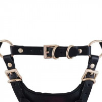 Сбруя со страпоном LOCKINK SEVANDA Queen Sheba Set with Pink Dildo