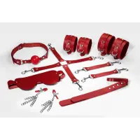 Набір Feral Feelings BDSM Kit 7 Red, наручники, поножі, конектор, маска, падл, кляп, затискачі — Просмотреть изображение 1