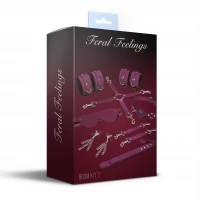 Набір Feral Feelings BDSM Kit 7 Burgundy, наручники, поножі, конектор, маска, падл, кляп, затискачі — Переглянути зображення 2