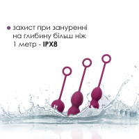 Набор вагинальных шариков со смещенным центром тяжести Svakom Nova Violet (мятая упаковка!!!)