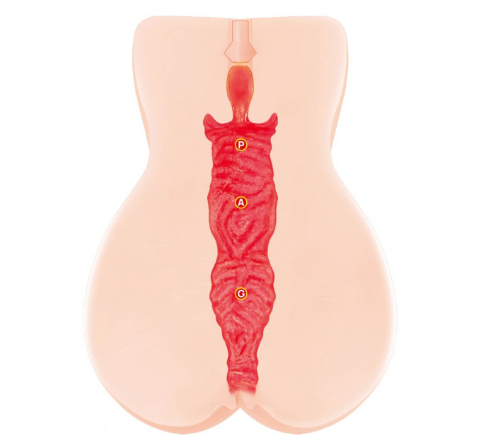 Мастурбатор Kokos Onahole Edition 005 by Jenny