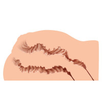 Мастурбатор-полуторс Naked Factory LAURA, вагина + анус, очень реалистичный, сквозной — Просмотреть изображение 3