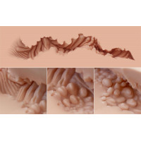 Мастурбатор-полуторс Naked Factory LAURA, вагина + анус, очень реалистичный, сквозной — Просмотреть изображение 5