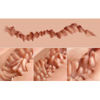 Мастурбатор-полуторс Naked Factory LAURA, вагина + анус, очень реалистичный, сквозной — Просмотреть изображение 6