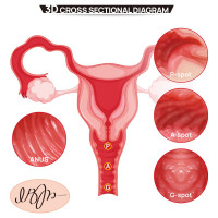 Мастурбатор Kokos 004 Vailla ONAHOLE Real Vagina — Просмотреть изображение 12