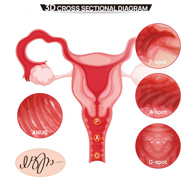 Мастурбатор Kokos 004 Vailla ONAHOLE Real Vagina