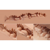 Мастурбатор-полуторс Naked Factory SCARLET, вагина + анус, узкий вход, очень реалистичный, сквозной — Просмотреть изображение 5