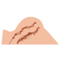 Мастурбатор-попа Naked Factory HANNAH, вагіна + анус, дуже реалістичний, наскрізний