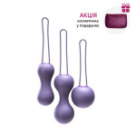 Набір вагінальних кульок Je Joue - Ami Purple, діаметр 3,8-3,3-2,7см, вага 54-71-100гр  + подарунок косметичка