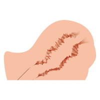 Мастурбатор-попка Naked Factory NICOLE, вагина + анус, очень реалистичный, сквозной — Просмотреть изображение 3