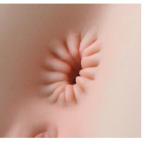 Мастурбатор-попка Naked Factory NICOLE, вагина + анус, очень реалистичный, сквозной — Просмотреть изображение 8