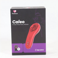 Смарт-вібратор у трусики Fun Town Caleo, надійне кріплення на магніті — Просмотреть изображение 7