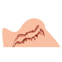 Мастурбатор Naked Factory TRISHA B TYPE, выраженные половые губы, вагина + анус, очень реалистичный — Просмотреть изображение 3