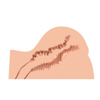 Мастурбатор-попка Naked Factory KATE, вагина + анус, очень реалистичный, сквозной — Просмотреть изображение 3