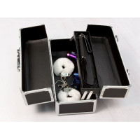 Большой кейс для хранения секс-игрушек BMS Factory Large Lokable Vibrator Case Black, кодовый замок