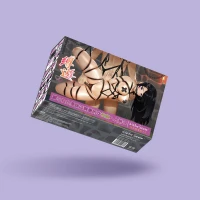 БДСМ-набір Liebe Seele Bound You 12pcs set, 12 предметів, у комплекті віброкуля і мереживні стрінги — Переглянути зображення 28