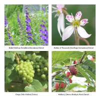 Пена для интимного ухода Iroha Intimate Wash Foam Type Bergamot and Bitter Orange 150 мл — Просмотреть изображение 8