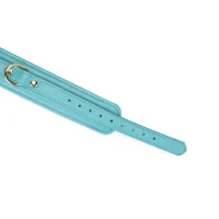 Нашийник з повідцем Liebe Seele Blue Lamb Leather Collar with Velvet Lining — Переглянути зображення 5