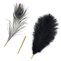 Лоскітка LOCKINK SEVANDA Natural Peacock Flirting Feather Tickler, пір’я павича та страуса — Переглянути зображення 1