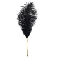 Лоскітка LOCKINK SEVANDA Natural Peacock Flirting Feather Tickler, пір’я павича та страуса — Переглянути зображення 3