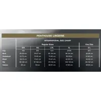 Комплект сорочка у стилі 60-х та трусики з доступом Penthouse - Libido Boost White S/M — Переглянути зображення 4
