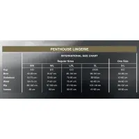 Комплект сорочка у стилі 60-х та трусики з доступом Penthouse - Libido Boost Black L/XL — Переглянути зображення 4
