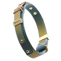 Нашийник LOCKINK Multi-color DIY Alphabet Collar, мультиколір, штучна шкіра, букви зі стразами — Переглянути зображення 2