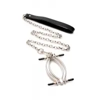 Затискач для статевих губ Master Series: Pussy Tugger Adjustable Vagina Clamp with Chain — Просмотреть изображение 1