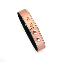 Нашийник із затискачами для сосків Liebe Seele Rose Gold Memory Collar with Nipple Clamps, шкіра — Переглянути зображення 11
