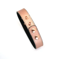 Нашийник із затискачами для сосків Liebe Seele Rose Gold Memory Collar with Nipple Clamps, шкіра — Переглянути зображення 20