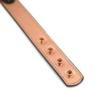 Нашийник із затискачами для сосків Liebe Seele Rose Gold Memory Collar with Nipple Clamps, шкіра — Переглянути зображення 6