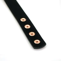Нашийник із затискачами для сосків Liebe Seele Rose Gold Memory Collar with Nipple Clamps, шкіра — Переглянути зображення 12