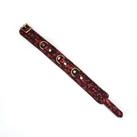 Нашийник з повідцем Liebe Seele Victorian Garden Collar with Leash — Просмотреть изображение 4