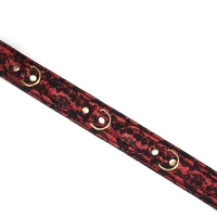 Нашийник з повідцем Liebe Seele Victorian Garden Collar with Leash — Просмотреть изображение 8