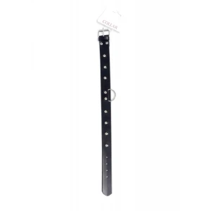 Нашийник Fetish Boss Series Collar with studs 3 cm