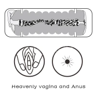 Мастурбатор Lovetoy Virgin-Skin Blowout Heavenly Vagina and Anus, тілесний — Переглянути зображення 9