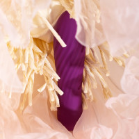 Вибропуля SVAKOM TULIP VIBRATOR VIOLET